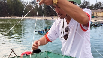 Ứng dụng công nghệ nano trong nuôi tôm trên cát