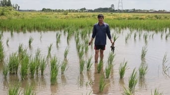 Xã Hưng Thuận: Nông dân lo ngập úng tại cánh đồng Ba Cụm