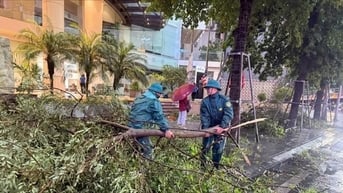 Phường Đống Đa sẵn sàng ứng phó với bão số 3