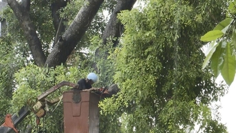 Hòa Lạc triển khai ứng phó bão số 3 và phòng, chống thiên tai, cứu hộ cứu nạn