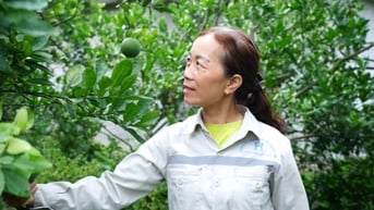 Công khai, minh bạch trong vay vốn chính sách