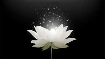 Lời cảm ơn của gia đình Đại sứ Nguyễn Thị Nguyệt Nga