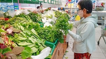 Đưa thực phẩm sạch đến từng bữa cơm gia đình