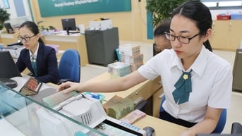 Kinh tế tư nhân Lâm Đồng làm gì để đáp ứng kỳ vọng mới?