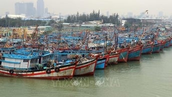 Đà Nẵng: Chủ động triển khai các biện pháp ứng phó với bão số 3
