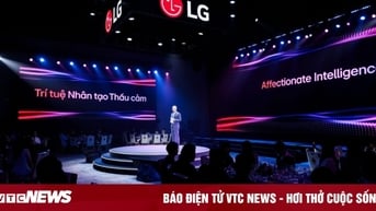 Khám phá dải sản phẩm TV LG AI 2025 tích hợp toàn diện trí tuệ nhân tạo thấu cảm