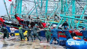 Bộ Chỉ huy Quân sự tỉnh Nghệ An kiểm tra công tác sẵn sàng ứng phó bão số 3 Wipha