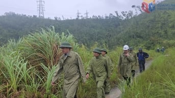 TKV tổ chức 3 đoàn kiểm tra công tác phòng, chống và ứng phó với bão số 3