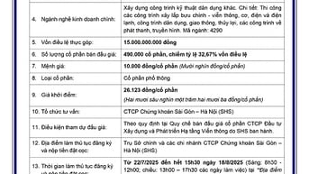 Thông báo bán đấu giá cổ phần của Tập đoàn VNPT tại Công ty CP Đầu tư xây dựng và Phát triển hạ tầng Viễn thông