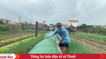 Tập trung bảo vệ cây trồng trước, trong và sau bão số 3