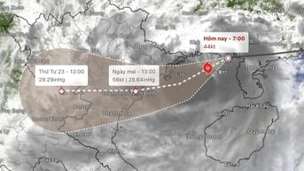 Ứng phó bão số 3, các bệnh viện có phương án sơ tán người bệnh