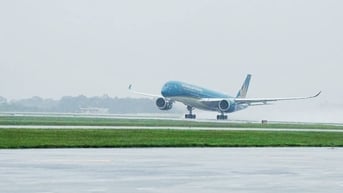 Nhiều chuyến bay bị hủy do bão Wipha