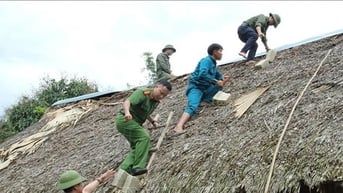 Chỉ đạo của Ban Bí thư về việc ứng phó với cơn bão số 3 (Wipha)