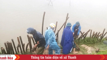 Xử lý sạt trượt mái đê cống Đồng Đền 2 tại xã Hoằng Châu