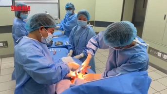 [Video] Việt Nam lần đầu tiên ghép tế bào gốc bất đồng nhóm máu thành công bằng kỹ thuật dung hòa miễn dịch