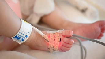 Tìm ra 2 cách mới giúp 'hồi sức' tim bên ngoài cơ thể