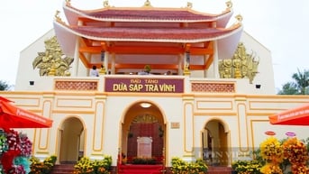 Chàng trai đầu tư hơn 20 tỉ đồng xây bảo tàng dừa sáp