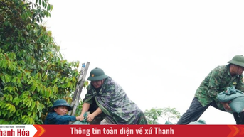 Các lực lượng quân sự, biên phòng hỗ trợ Nhân dân trước khi bão đổ bộ