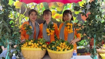 Phát huy nguồn lực văn hóa trong bối cảnh mới