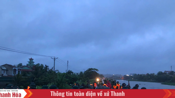 Hơn 300 người tham gia gia cố đê cầu Mới tại Bỉm Sơn