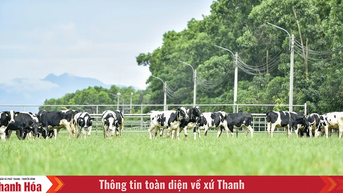 Vinamilk Green Farm Thanh Hóa - Phát triển trang trại xanh, nông nghiệp bền vững hướng đến mục tiêu Net Zero