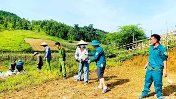 Mái ấm tròn vẹn nghĩa tình