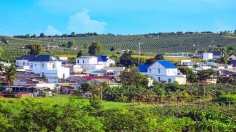 Hướng tới Đại hội Đại biểu Đảng bộ xã Tân Thành lần thứ I, nhiệm kỳ 2025-2030: Đến ngưỡng cho đột phá thương mại, dịch vụ