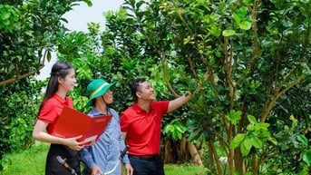 Agribank ưu đãi lớn, hỗ trợ chuyển đổi hộ kinh doanh thành doanh nghiệp