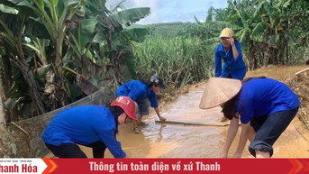 100% đoàn viên thanh niên xã, phường ra quân dọn dẹp vệ sinh sau bão
