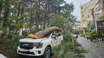 Thiệt hại ban đầu do bão số 3