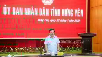 UBND tỉnh cho ý kiến về tiến độ Dự án nhà máy điện khí LNG và các dự án phát triển nhà ở