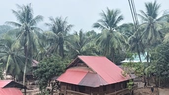 Xã Mỹ Lý, tỉnh Nghệ An: 150 nhà dân bị cuốn trôi...