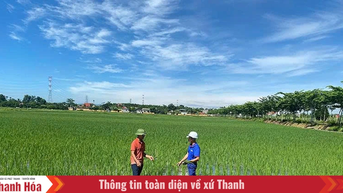 Nhiều khó khăn trong quản lý mã số vùng trồng