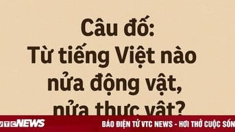 Từ Tiếng Việt nào tên nửa động vật, nửa thực vật?