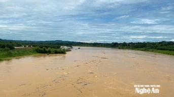 Nước sông Hiếu dâng cao, người dân chủ động kê cao đồ đạc, chuẩn bị thuyền ứng phó lũ
