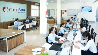 “Mạch ngầm” giữ hệ thống quỹ tín dụng hoạt động an toàn