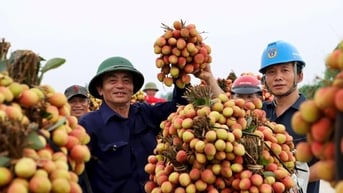 Trứ danh nông sản Hải Phòng