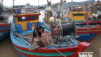 Ngư dân Nghệ An tất bật ra khơi sau bão, kỳ vọng chuyến biển bội thu