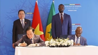 Việt Nam sẵn sàng phối hợp xây dựng chiến lược phát triển nông nghiệp toàn diện với Senegal