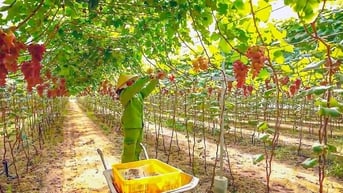 Đại hội Đại biểu Đảng bộ xã Tân Thành lần thứ I nhiệm kỳ 2025 - 2030:Tân Thành kết hợp nông nghiệp công nghệ cao vào du lịch