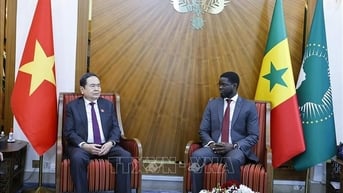Senegal đề nghị Việt Nam sớm xem xét mở cơ quan đại diện ngoại giao tại Dakar