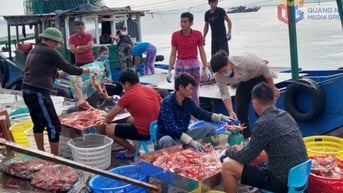 Ngành nông nghiệp giữ vững đà tăng trưởng