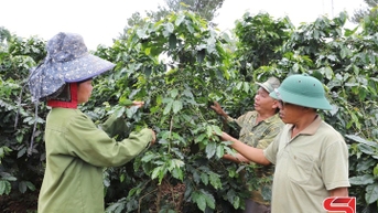 Nhịp sống Mường Chanh