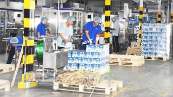 Xanh hóa ngành dừa để phát triển bền vững