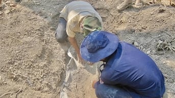 Khi hoa Chămpa nở bên dòng Sê Păng Hiêng