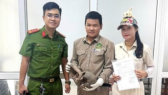 Đầu bếp nhà hàng ở Đà Nẵng mua tê tê quý hiếm, bị tạm giữ cùng 2 người bán
