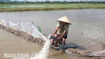 Nhanh chóng khôi phục sản xuất sau bão số 3