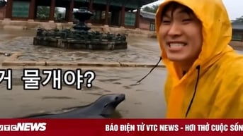Video AI giả cảnh lũ lụt tại cung điện gây lo ngại về deepfake ở Hàn Quốc
