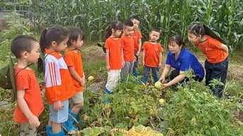 Dạy hè ở trường tư