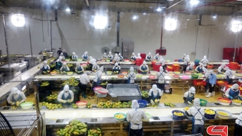 Sơn La tăng trưởng ấn tượng 8,76%
